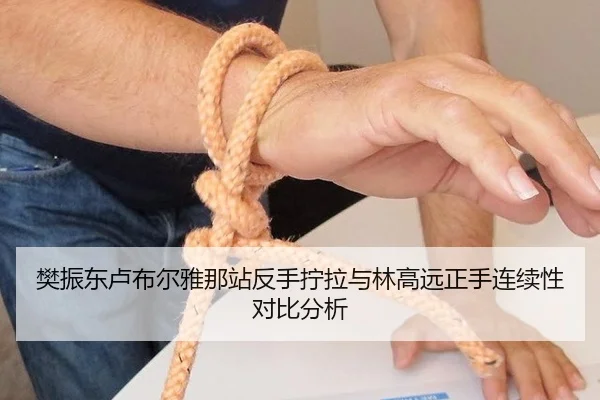 樊振东卢布尔雅那站反手拧拉与林高远正手连续性对比分析